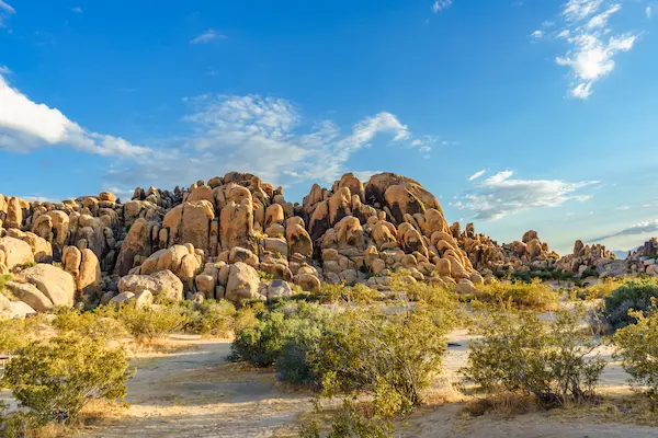 plumber in Hesperia CA